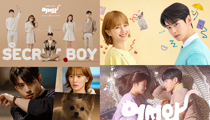 2 K-Dramas Encantadores para Amantes de Pets