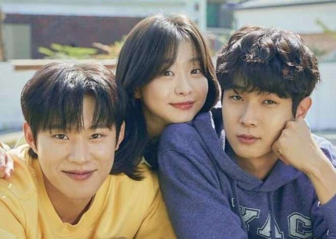 Qual foi o dorama mais assistido no Brasil 2024?